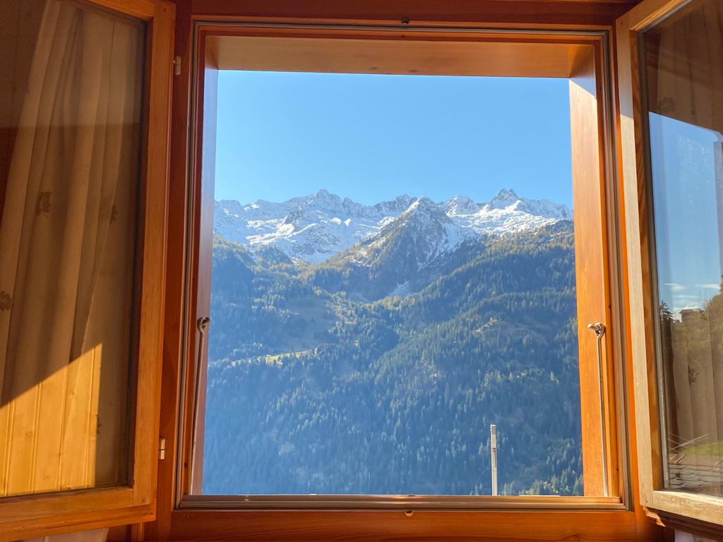 Finestra sulle Alpi